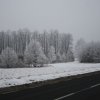 Blinno 01.02.2017