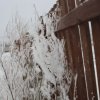 Blinno 01.02.2017