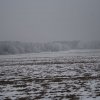Blinno 01.02.2017