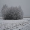 Blinno 01.02.2017