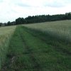 15.07.2015